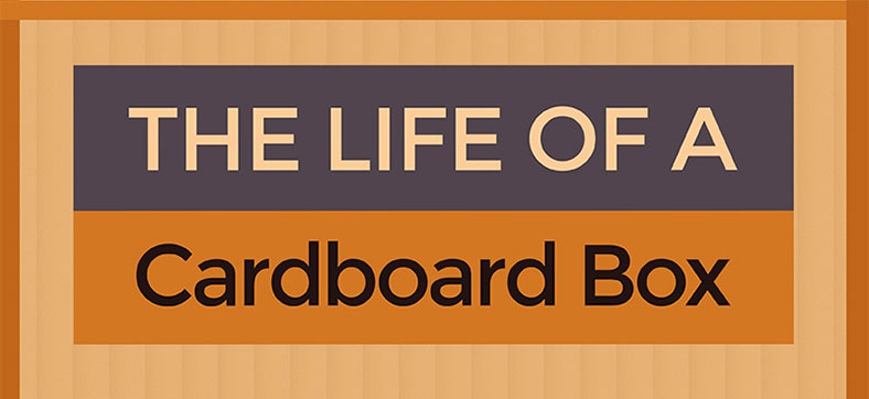 Infographic Demonstrating The Life Of A Cardboard Box